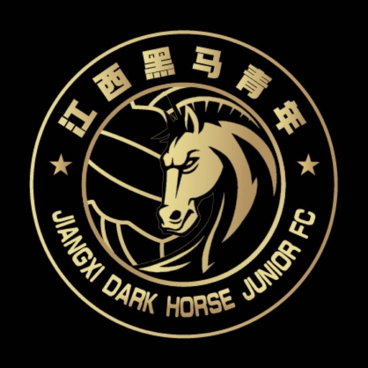 官方：江西黑馬青年完成異地遷移程序，更名為溫州職業(yè)足球俱樂(lè)部